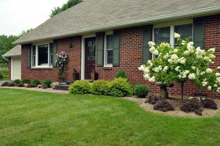 Og en landskapsplan som inneholder visuelle kurver