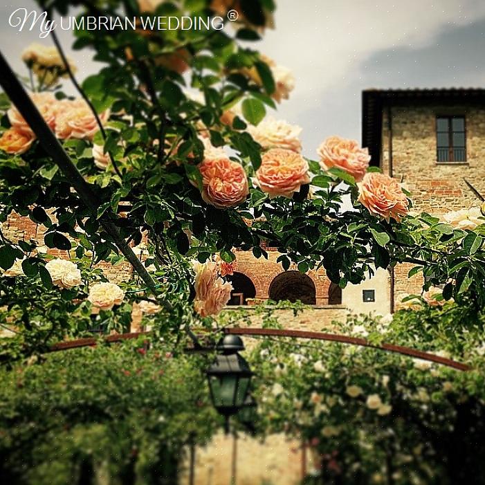 Noen ganger hvite og alltid delikat duftende