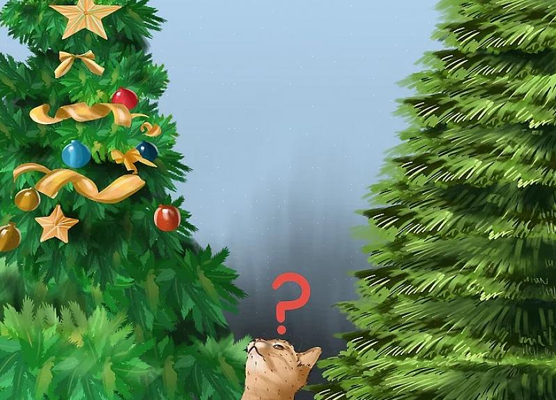 Velg riktig trestativ