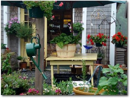 Du trenger ikke mye plass for å dyrke friske grønnsaker