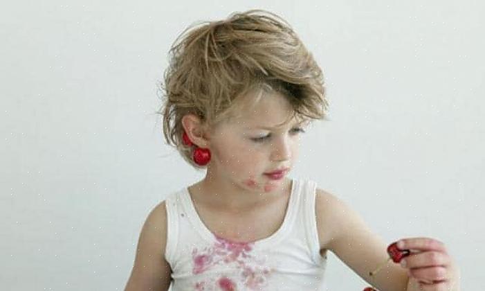 Hvordan fjerne bærflekker fra teppe og møbeltrekk