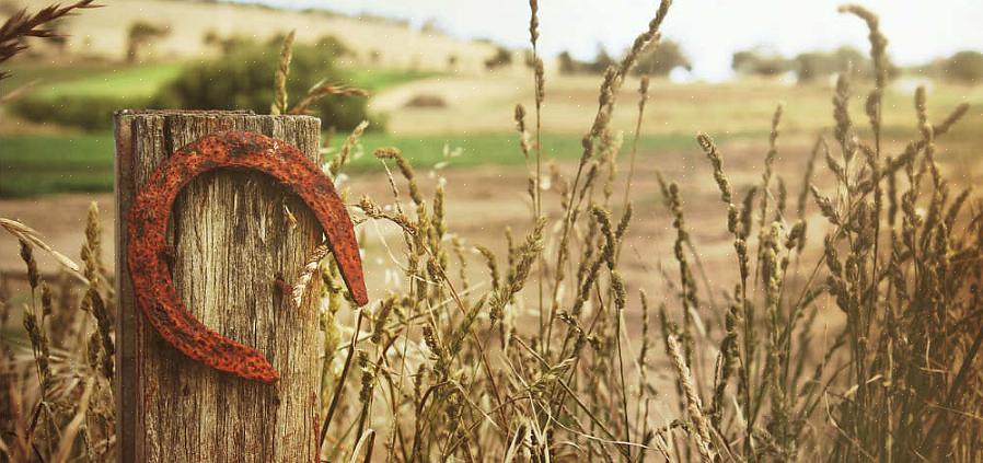 Dette gjør hesteskoen til en utmerket feng shui-beskyttelse