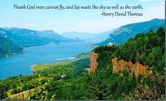 Mer for å feire den naturlige verden på jorden dag