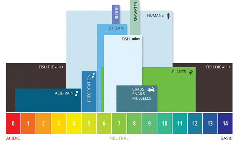 PH-skalaen brukes til å bestemme hvor sure eller alkaliske forskjellige løsninger er