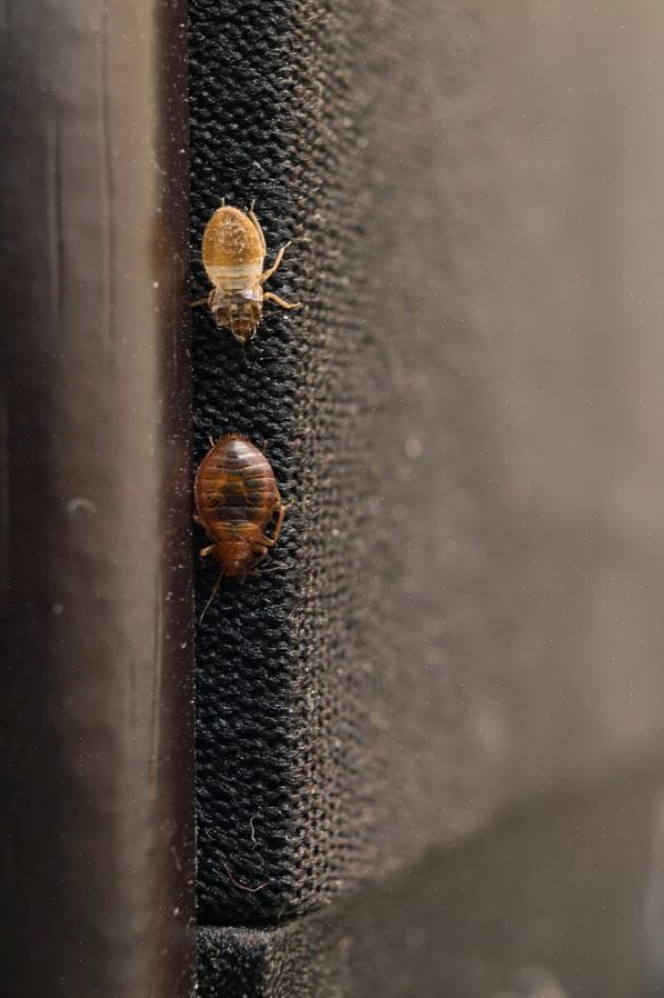 Slik at klærne søles forsiktig inn i maskinen