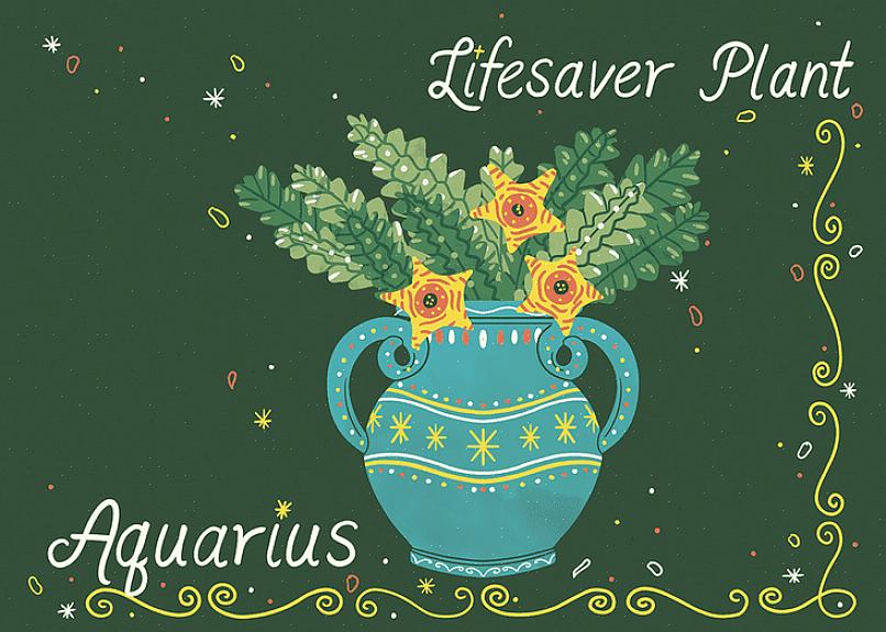 Du kan enten komme sammen med vennene dine på en strand