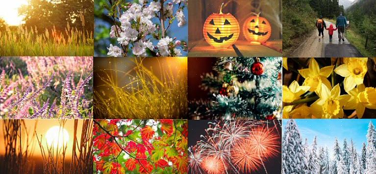 Feir mer enn bare Valentinsdag med disse tullete dagene