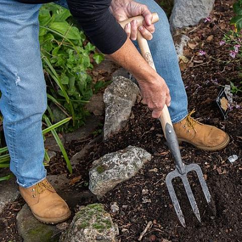 USDAs side for landtilskuddskatalog fører deg til din lokale universitetsutvidelsesside