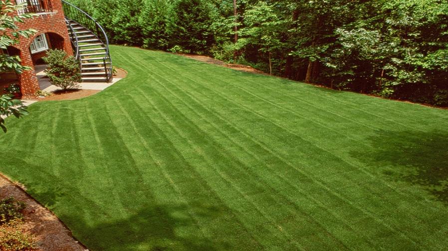 Eller "sod kicker" slik brukerne kjenner den