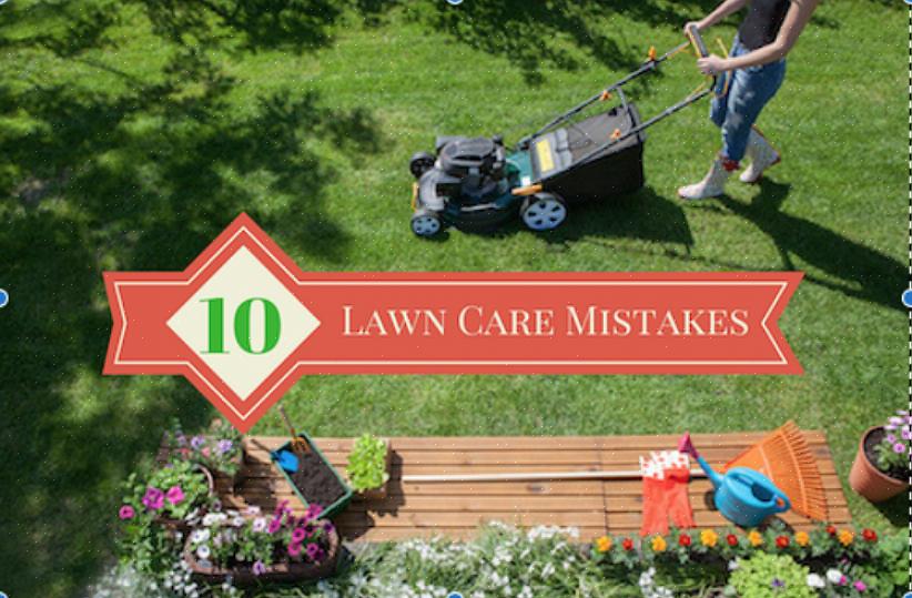 Unngå å bruke en slik mulch hvor som helst du ikke har tenkt å beholde den - over lang tid