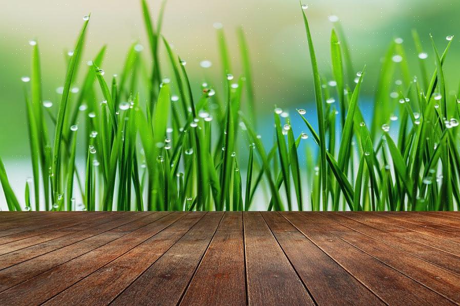 Gjennomsnittspris: 1,10€-3€ per kvadratmeter