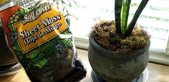 De fleste jordblandinger er torvbaserte blandinger