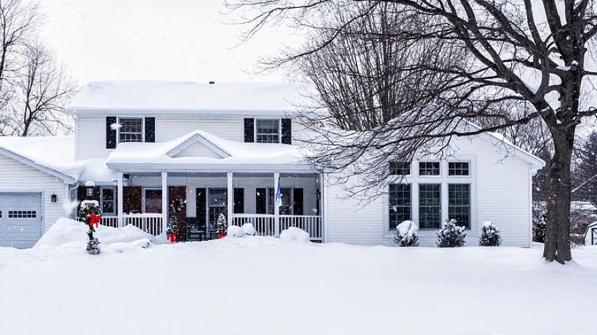 For de beste sjansene for at plantene dine vil overleve en kald vinter