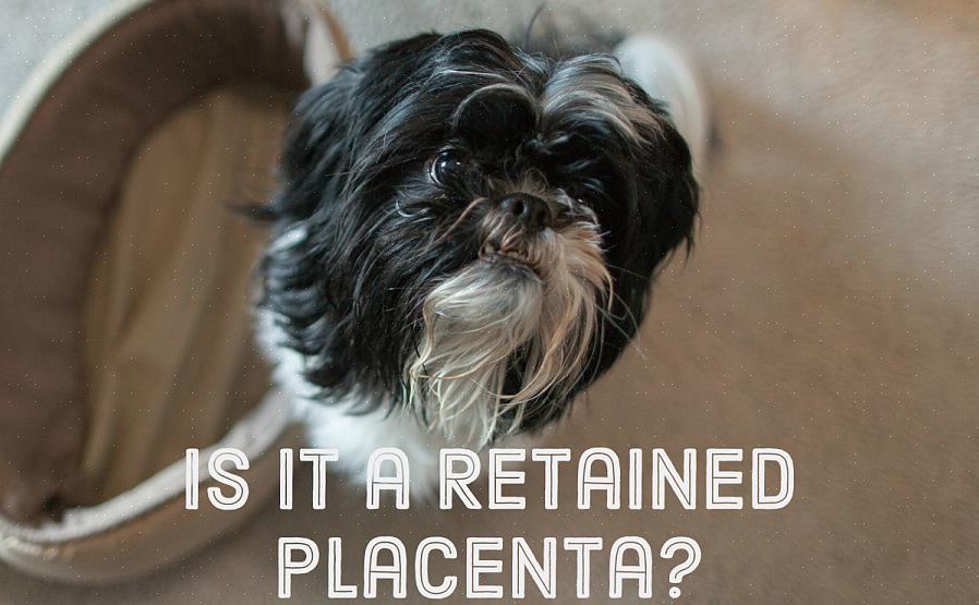 Entreprenøren din skal være i stand til å detaljere det nødvendige arbeidet