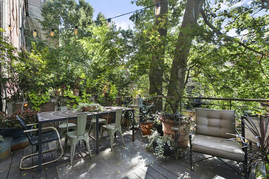 Flo's Gardens er kjent rundt Brooklyn for sine vakre vindusbokser