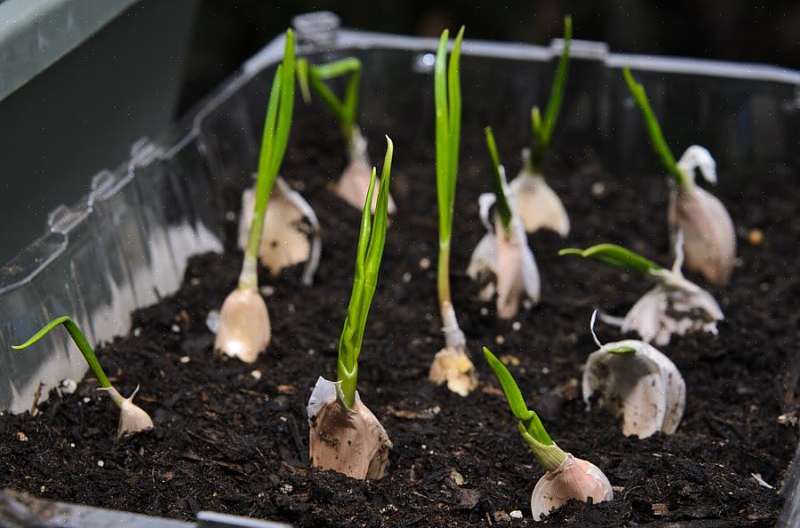 Du kan lage flere store hull med en kanåpner