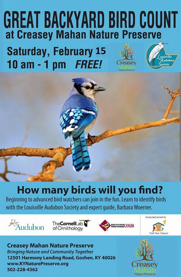 Men representerer også mangfoldet av tilstedeværende fugler