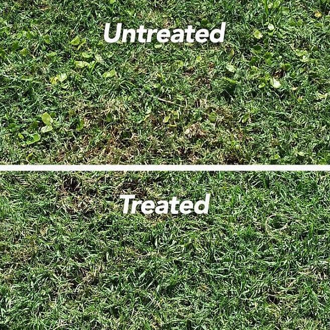 Blant de provinsielle forløperne til det føderale forbudet er Ontario strenge forbud mot kosmetiske