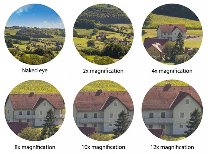 Å forstå kikkertforstørrelse kan hjelpe fuglekikkere å velge riktig kikkert for øynene