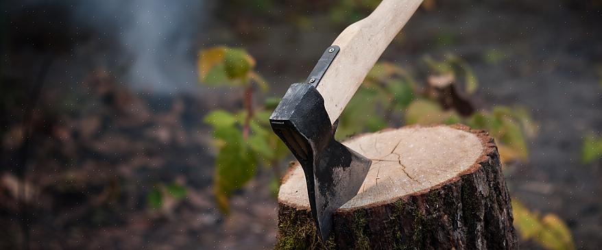 Erfarne kokker vet at en kjedelig kniv er farligere enn en skarp kniv