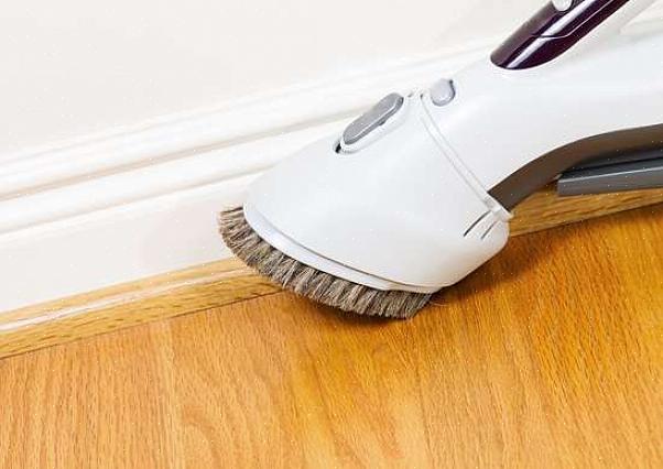 En støvsugeroppgave er å samle alt kjæledyrhåret som sitter fast på tepper