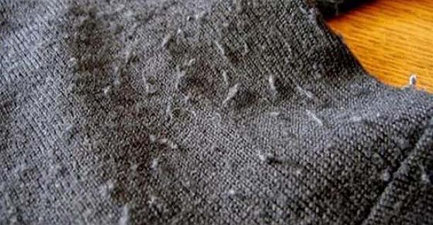 Pillen blir dessverre en magnet for andre løse tråder i en vaskebelastning