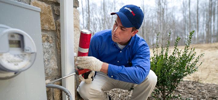 Skadedyr i dyrelivet kan forårsake betydelig skade eller spre sykdom til mennesker eller kjæledyrene våre