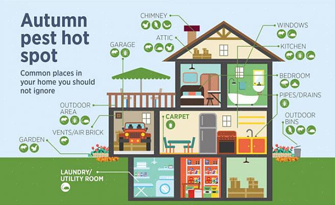 Følgende er korte beskrivelser av noen av de vanligste vinterskadedyrene