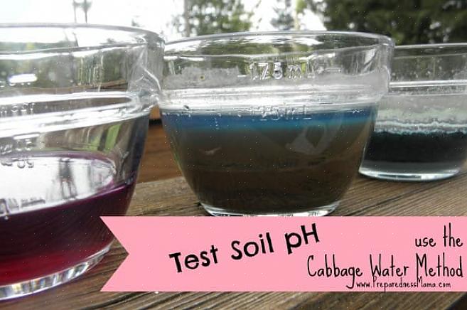 Teknisk sett måler en jord pH (potensiell hydrogen) test hvor mange hydrogenioner som er i jorden