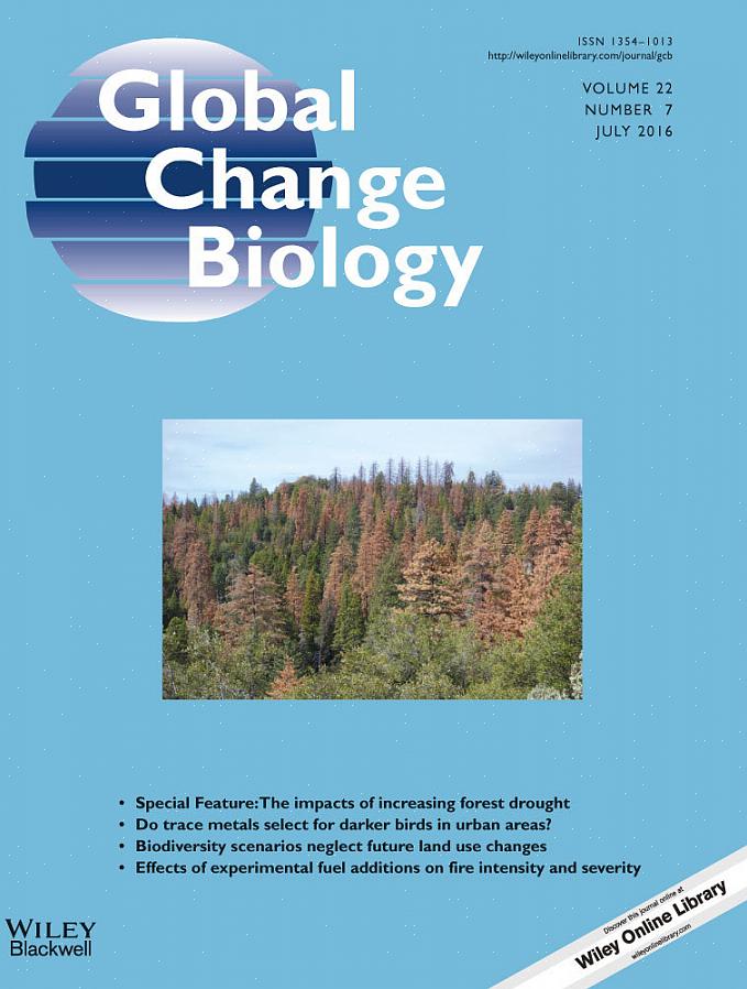 Men vet ikke om du vil ha en uformell eller formell landskapsdesign