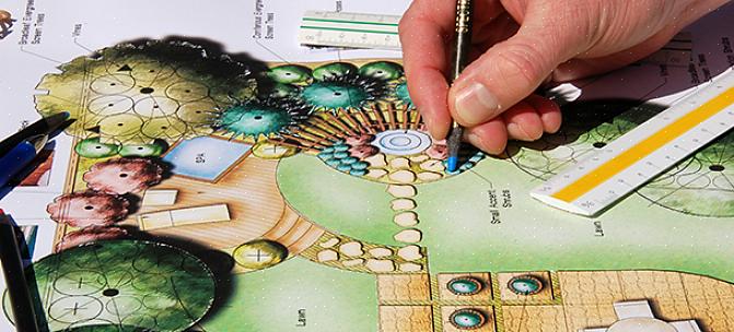 På skolen for landskapsdesign ble jeg lært å identifisere trær