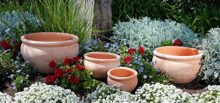 Tre: Tre har god vannretensjon