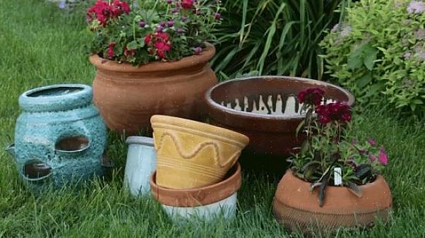 Velger du planter for "delvis sol / delvis skygge."