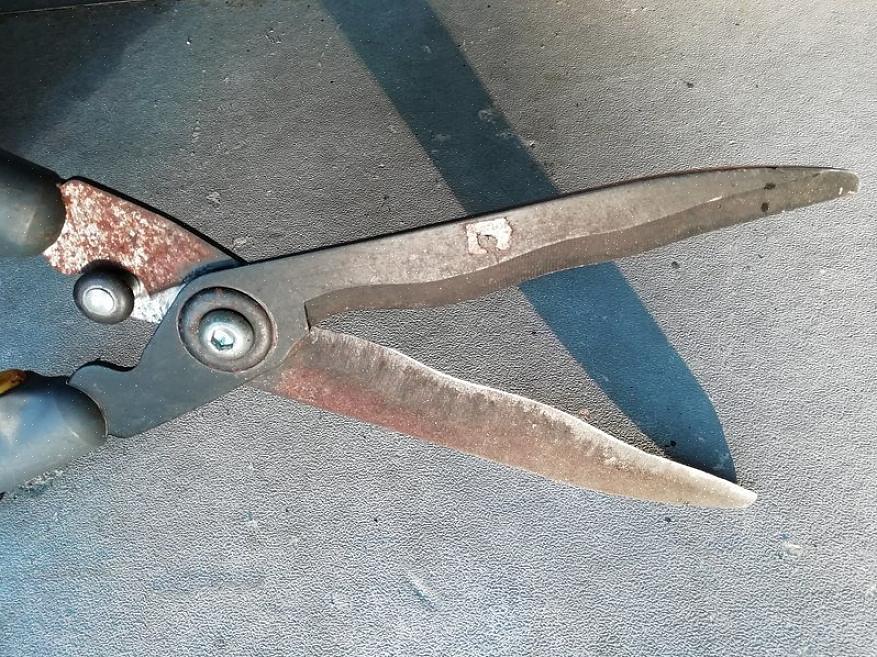 Bypassbeskjæringsskjær har bare en skråkant som glir over den faste bunnhalvdelen av beskjæreren