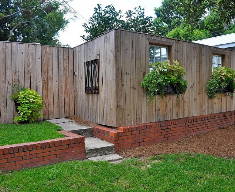 Disse enebærene (kalt Juniperus communis 'Stricta' på botanisk lingo) er favoritt eviggrønne busker