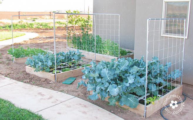 Står denne hagegallerien uavhengig av andre strukturer