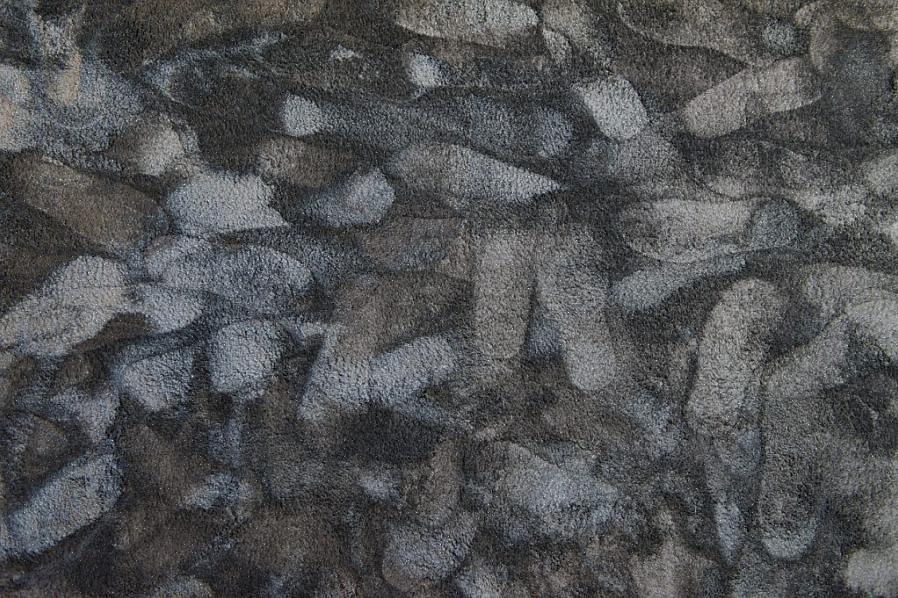 Denne stilen har kutte teppefibre som alle er vridd i samme retning