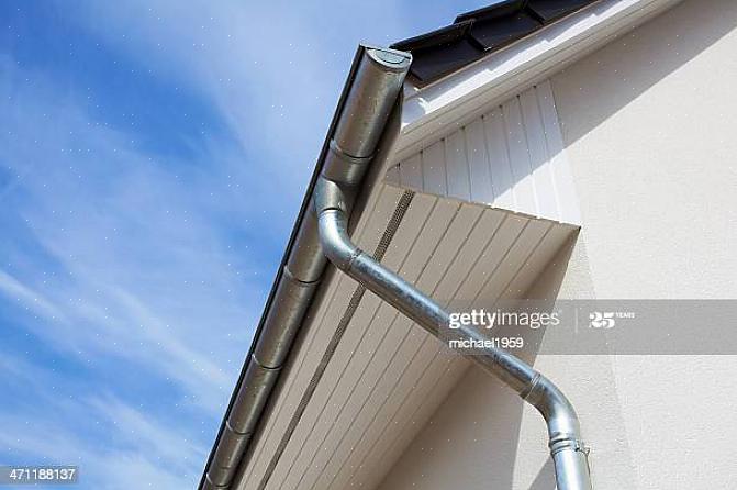 Og det er grunnen til at de noen ganger kalles takskjegg