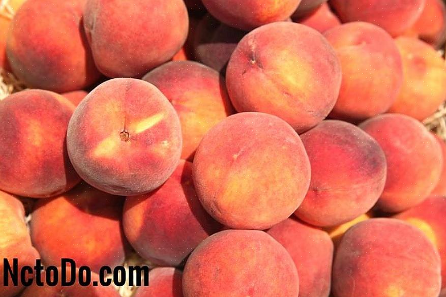 Papaya flekker er omtrent som alle fruktflekker