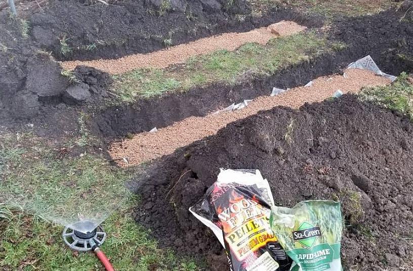 Men falske morel sopp (som omfatter flere arter