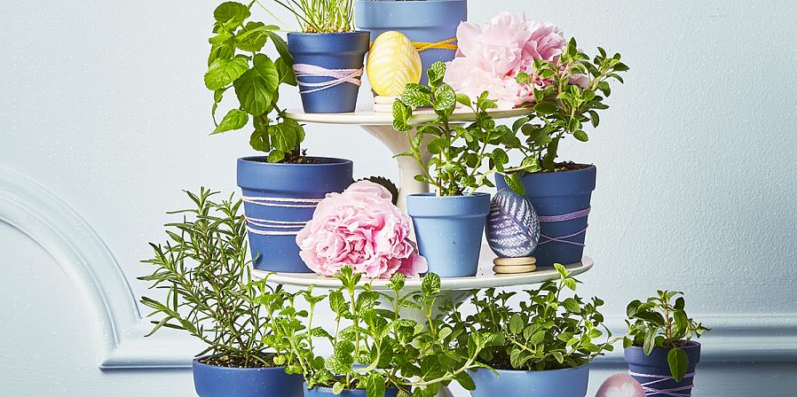 Du trenger faktisk ikke en frøpakke per gjest