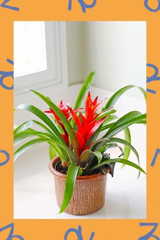 Og du er absolutt kjent for å være frekk