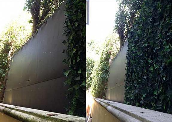 En leser som bor på en travel motorvei spurte