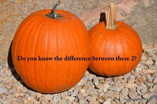 Matlaging av gresskar er faktisk veldig praktisk