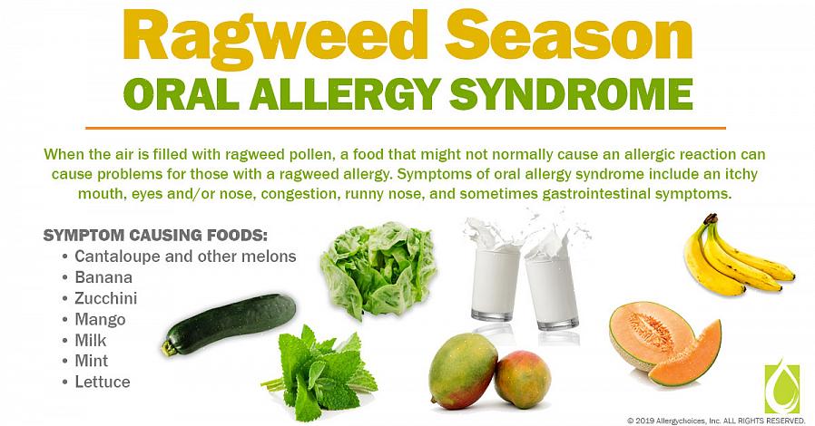 Vanlig ragweed (Ambrosia artemisiifolia)