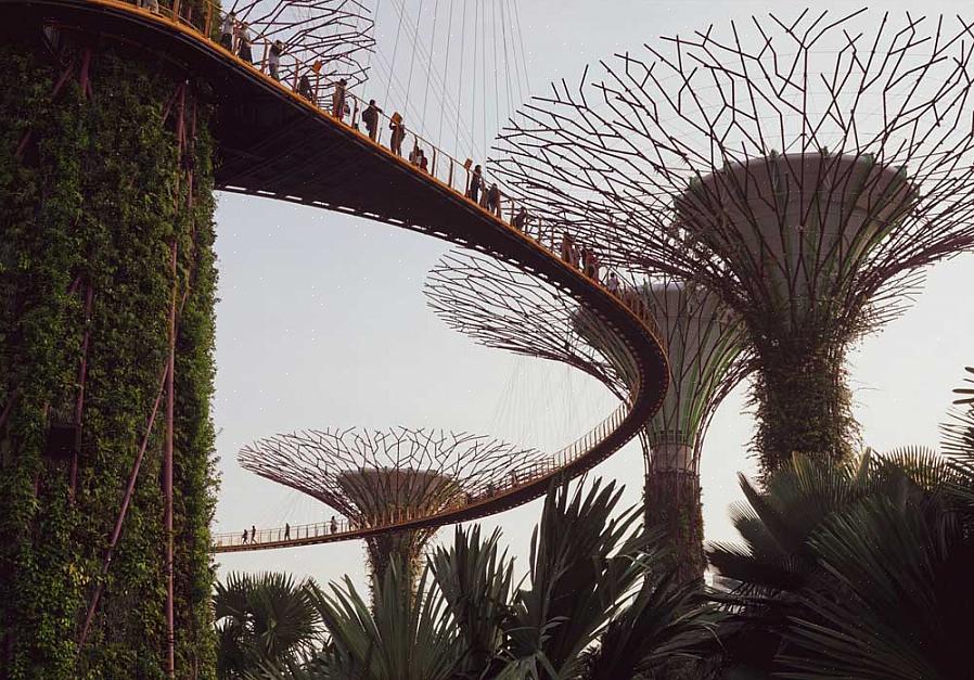 Landskapsdesign er kunsten å ordne eller modifisere funksjonene til en hage