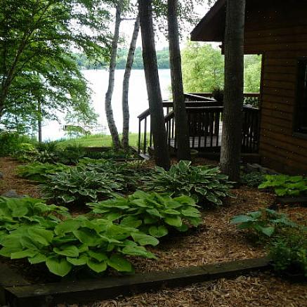 Den blir 15 centimeter høy og 30 centimeter bred