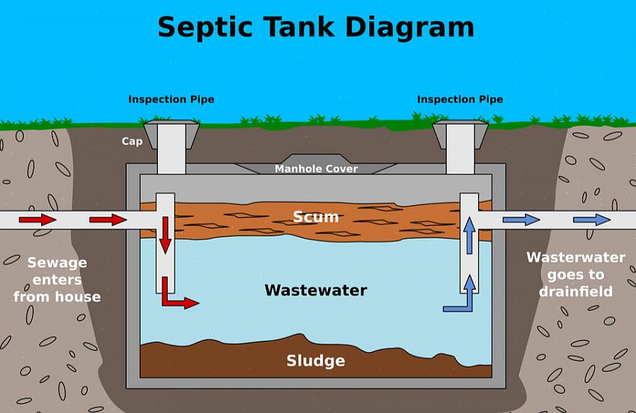 Er grunne rotarter bedre å vokse rundt avløpsfelt for septiktank