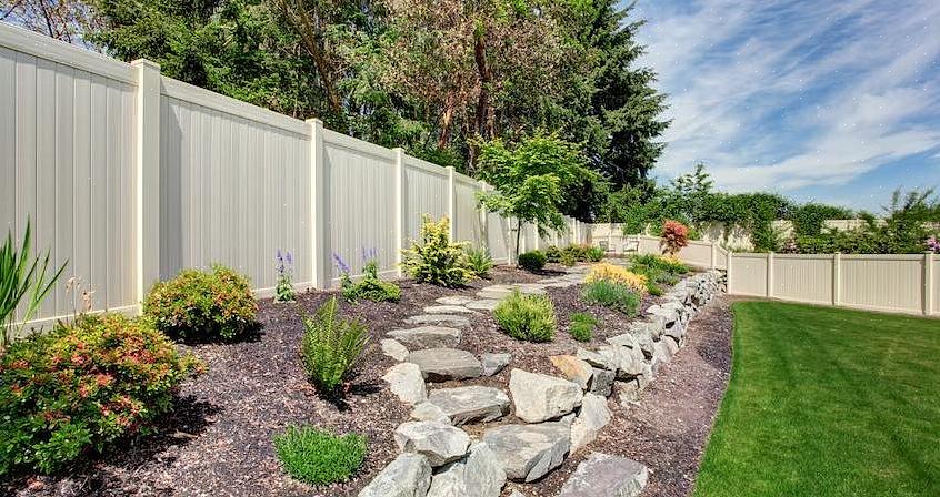 Det er ikke vanskelig å se hvorfor eviggrønne busker vil spille en viktig rolle i landskapsarkitekturlinjer