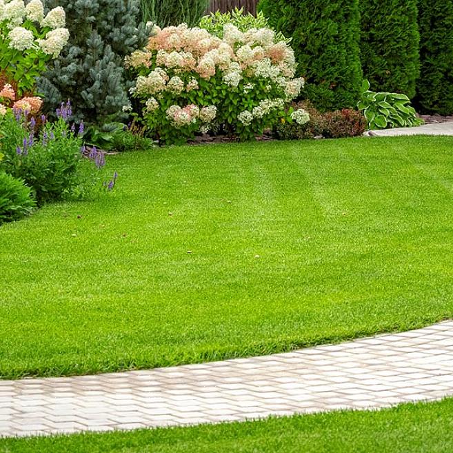 En gjødsel på 5-10-5 vil inneholde 5 vekt% nitrogen